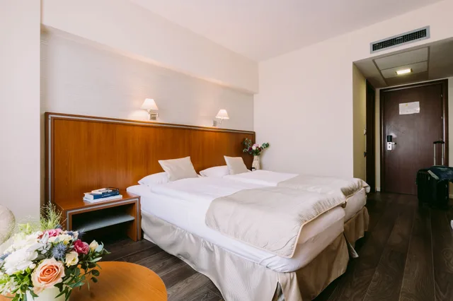 غرفة بزنس بسريرين منفصلين، Hotel Timisoara 4/5