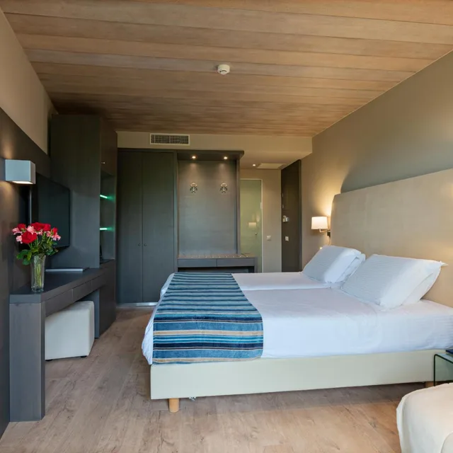 غرفة مزدوجة بإطلالة على البحر، Kyma Suites Beach Hotel 1/10