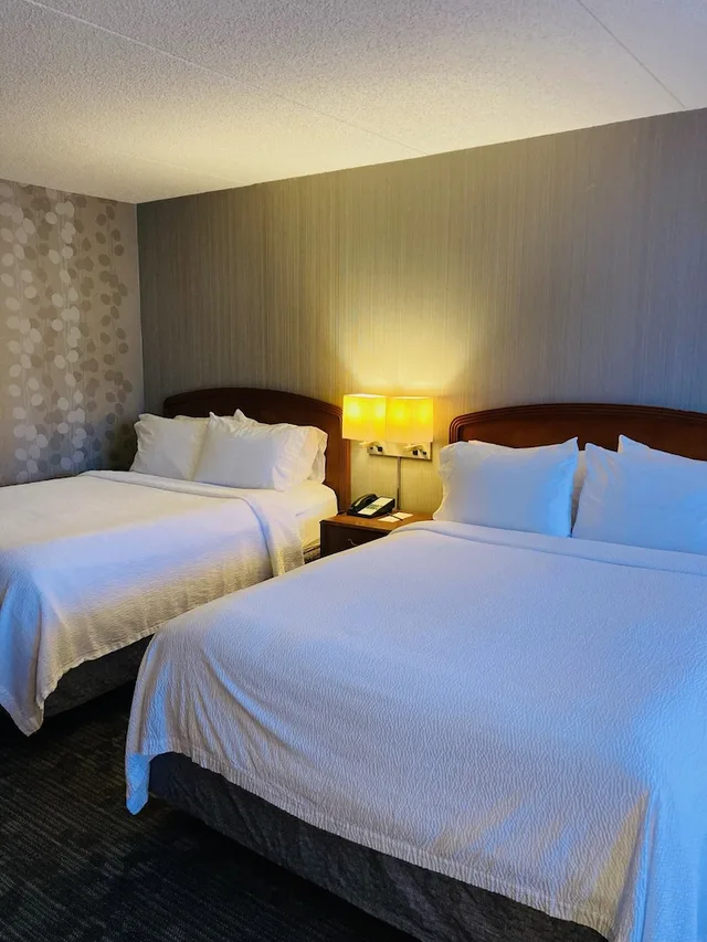 غرفة بسريرين مزدوجين، Courtyard by Marriott Lyndhurst Meadowlands 3/5