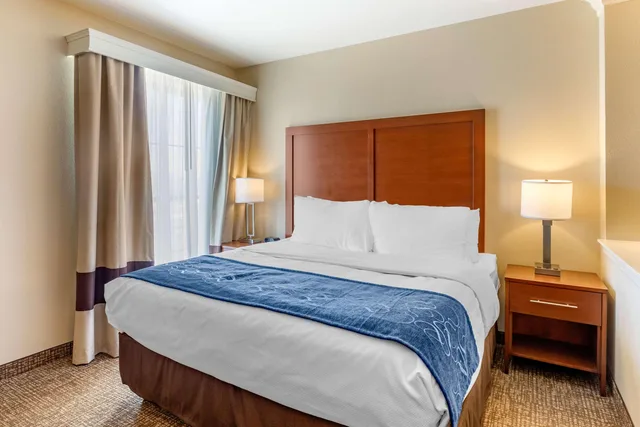 جناح، Comfort Suites Near Denver Downtown 1/2