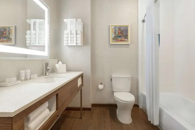 غرفة بسرير كينج لذوي الإعاقة، Hampton Inn & Suites Houston-Cypress Station 3/3