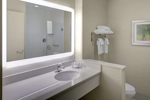 جناح تنفيذي بسرير كينج مع أريكة، FAIRFIELD INN & SUITES DETROIT CANTON 7/8
