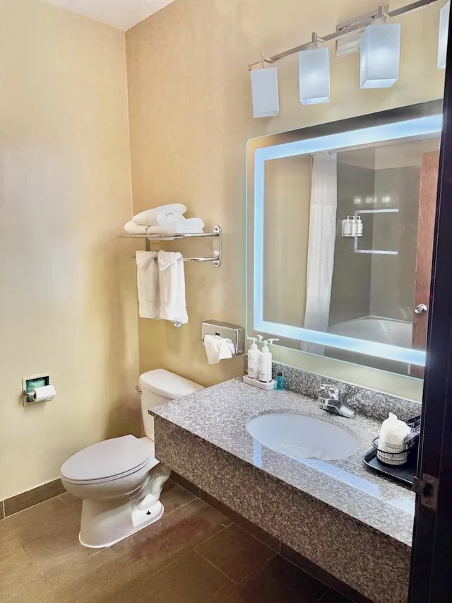 جناح بزنس بسرير كينج مع أريكة، Ramada by Wyndham Glendale Heights/Lombard 5/10