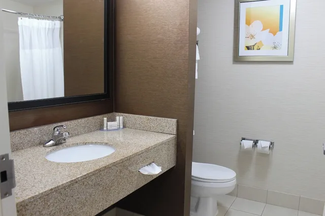 استوديو بسرير كينج مع أريكة، Fairfield Inn Suites Kansas City Liberty 1/5
