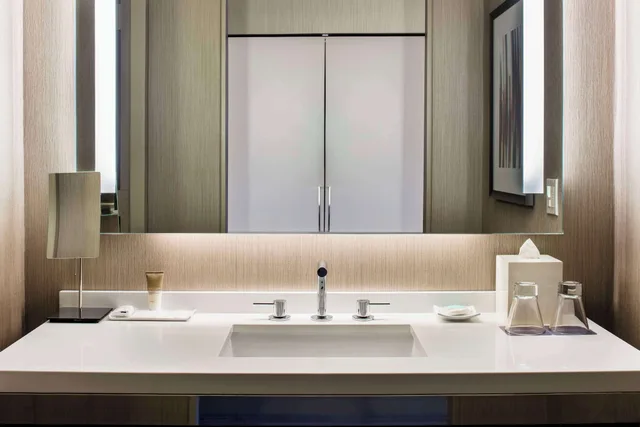غرفة بسرير كوين وسرير مزدوج، Hyatt Regency Mccormick Place 8/8