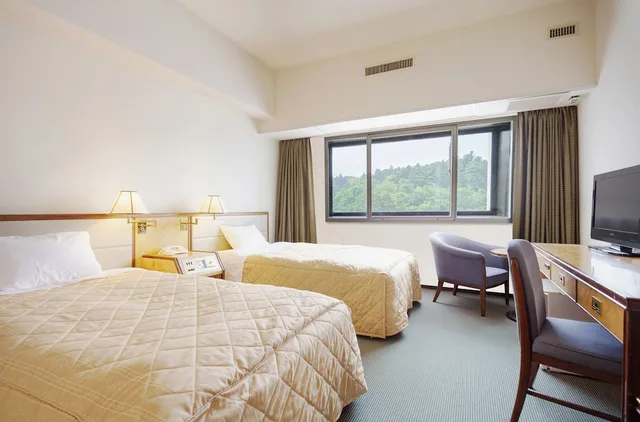 غرفة قياسية بسريرين منفصلين، ART HOTEL Narita 1/6