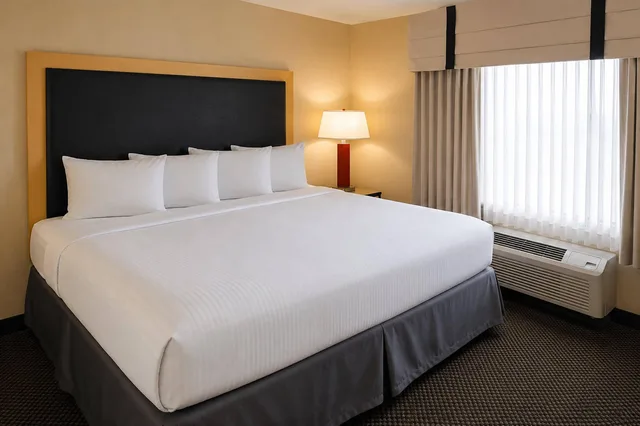 جناح بسرير كينج لذوي الإعاقة، Cambria Hotel Rapid City near Mount Rushmore 4/7