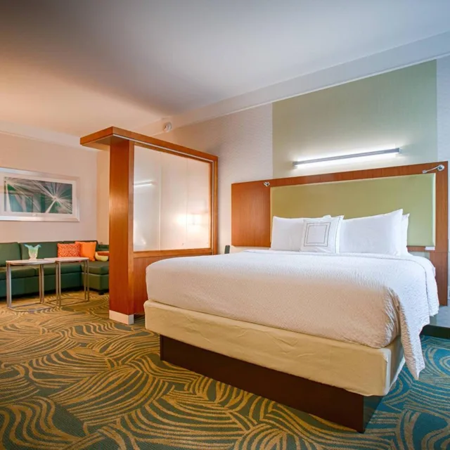 جناح بسرير كينج مع سرير سحّاب إضافي مع أريكة لذوي الإعاقة، SPRINGHILL SUITES CANTON 1/2