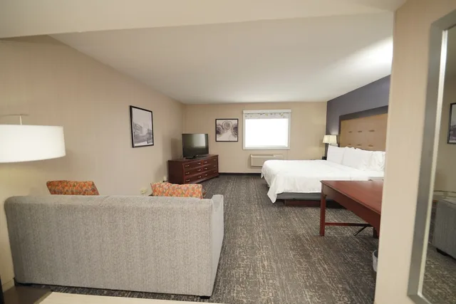 غرفة قياسية بسرير كينج مع أريكة، Holiday Inn Hotel & Suites Chicago-Carol Stream(Wheaton) 3/3