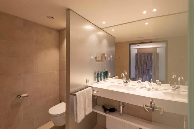 غرفة بسرير كينج، Doubletree by Hilton Vienna Schonbrunn 5/13