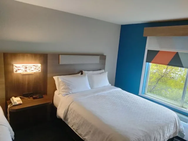 Standard, Single Bed, Holiday Inn Express Lapeer 1/1