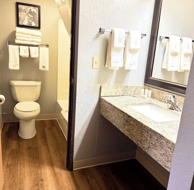 جناح بريميير بسرير كينج بغرفة نوم واحدة، AmericInn by Wyndham Ames 4/6