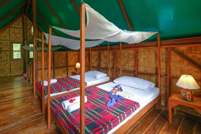 Tree House, Two Story، Our Jungle Camp - Eco Resort 5/9