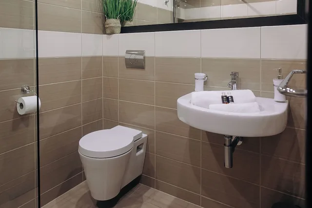 غرفة اقتصادية بسرير مزدوج أو سريرين منفصلين، Interhotel Tatra 4/4