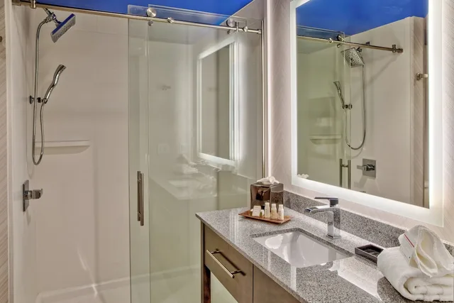غرفة قياسية بسرير كينج لذوي الإعاقة، Hotel Indigo Pittsburgh University-Oakland, an IHG Hotel 4/4