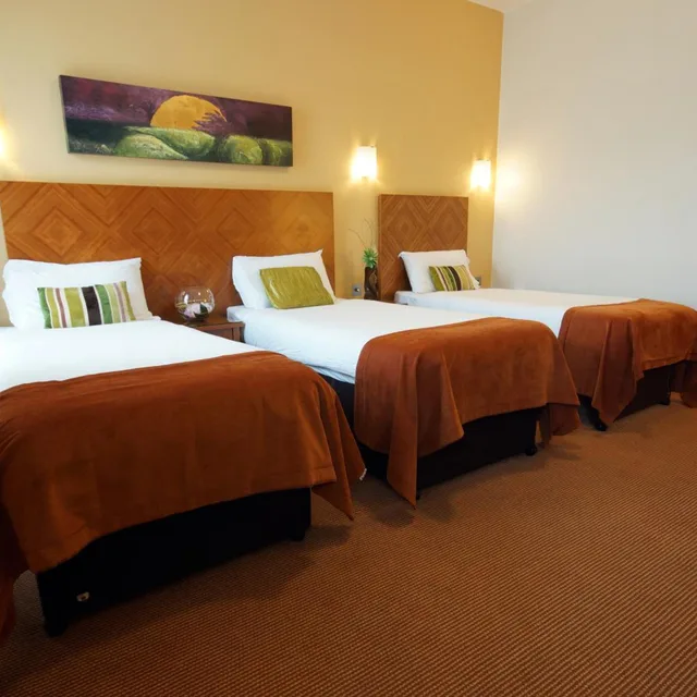 غرفة ثلاثية، Treacys Hotel Waterford 5/8