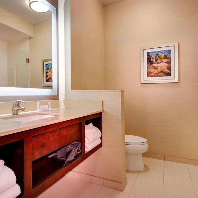جناح بسرير كوين، Fairfield Inn & Suites San Diego Carlsbad 4/5