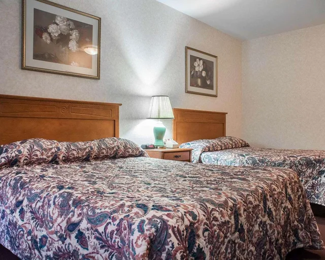 غرفة بسريرين كوين للمدخنين، Econo Lodge By The Falls 3/3