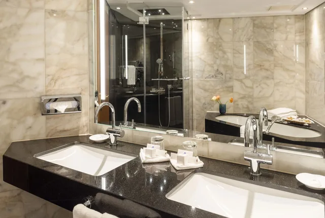 جناح مفرد، Maritim Hotel Ulm 2/2