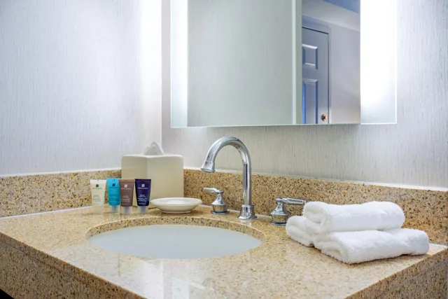 جناح بسرير كينج بغرفة نوم واحدة مع أريكة، Astor Crowne Plaza New Orleans French Quarter, An Ihg Hotel 8/9