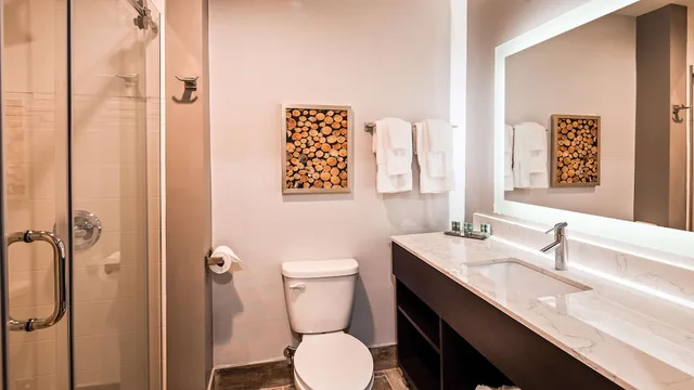 Standard, King Bed, Aiden by Best Western Warm Springs Hotel and Event Center 4/5