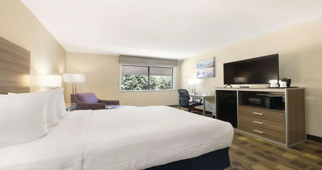 غرفة بسرير مزدوج، Best Western Amador Inn 1/4