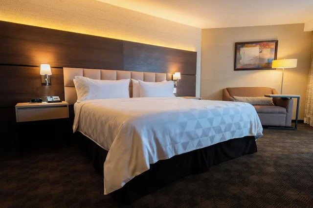 غرفة قياسية بسرير كينج لذوي الإعاقة، HOLIDAY INN GUATEMALA 2/6