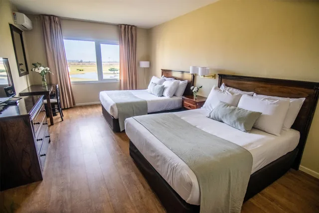 Senior, Superior, 2 Queen Beds، Wyndham Garden Campana 1/10