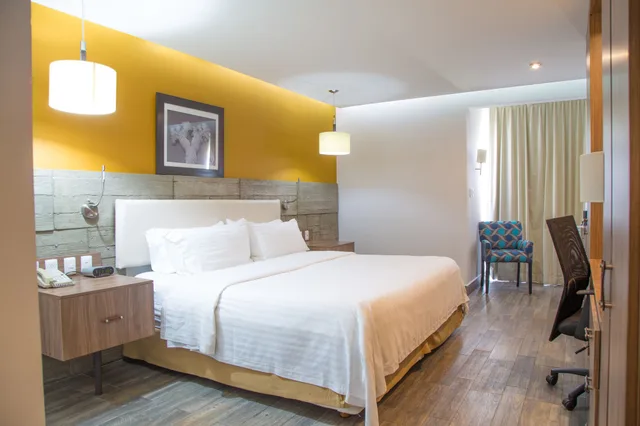 غرفة قياسية بسرير كينج، Holiday Inn Hermosillo 3/4