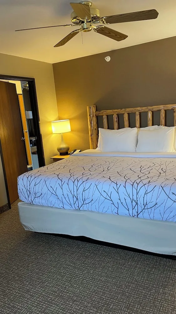 غرفة ديلوكس بسرير كينج بإطلالة على الجبل، Antler Lodge 2/4