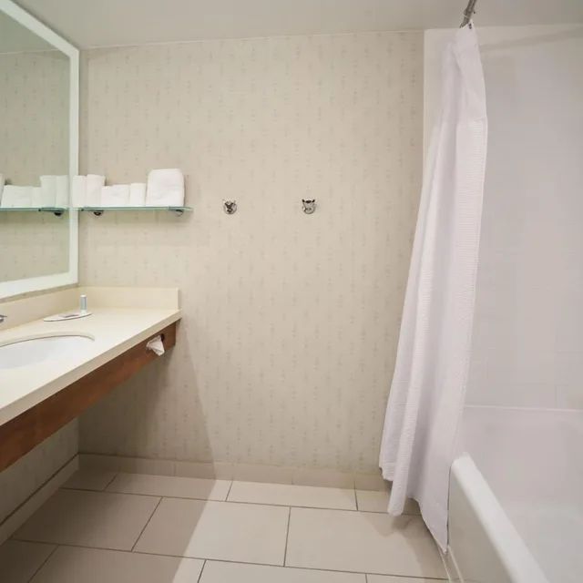 جناح بسريرين كوين مع سرير سحّاب إضافي مع أريكة، SpringHill Suites Philadelphia Airport/Ridley Park 5/5