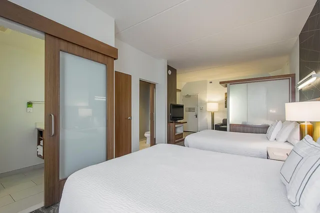 جناح بسريرين كوين مع سرير سحّاب إضافي مع أريكة بحوض استحمام لذوي الإعاقة، SpringHill Suites Tampa North/I-75 Tampa Palms 1/3