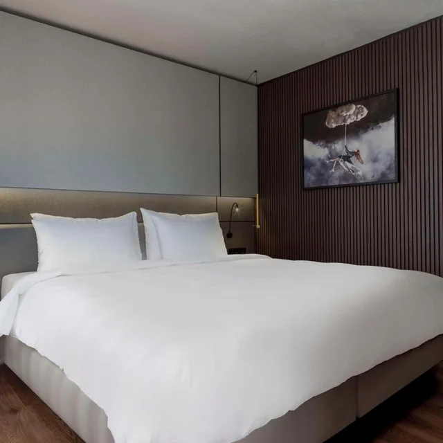 جناح بغرفة نوم واحدة، Radisson Blu Royal Viking Hotel 1/2
