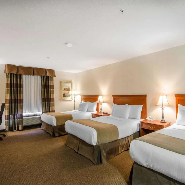 غرفة بسرير مزدوج، Quality Inn & Suites Grande Prairie 2/9