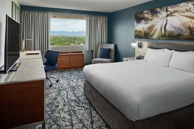 1 King Bed Studio W/Balcony and Sofabed، DoubleTree by Hilton Hotel Denver 1/2