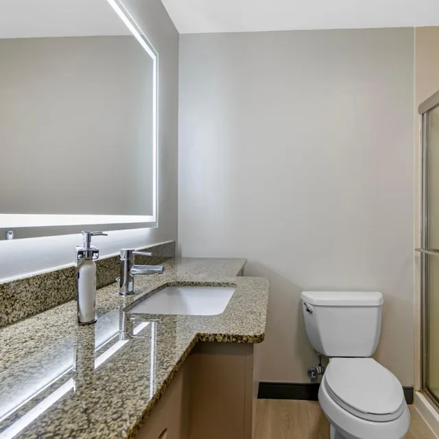 جناح تنفيذي بسرير كينج، Holiday Inn Express & Suites Clemson - Univ Area 4/4