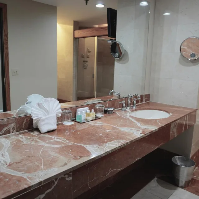 جناح تنفيذي بسرير كينج بإطلالة على المدينة مع أريكة بحوض جاكوزي لذوي الإعاقة، Haywood Park Hotel, Ascend Hotel Collection 6/6