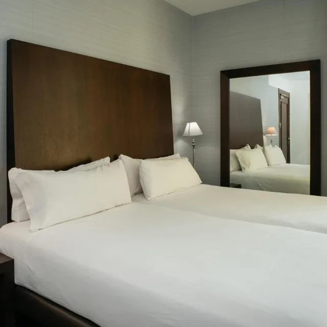 Standard, Single, Hotel Ramblas Internacional 2/5