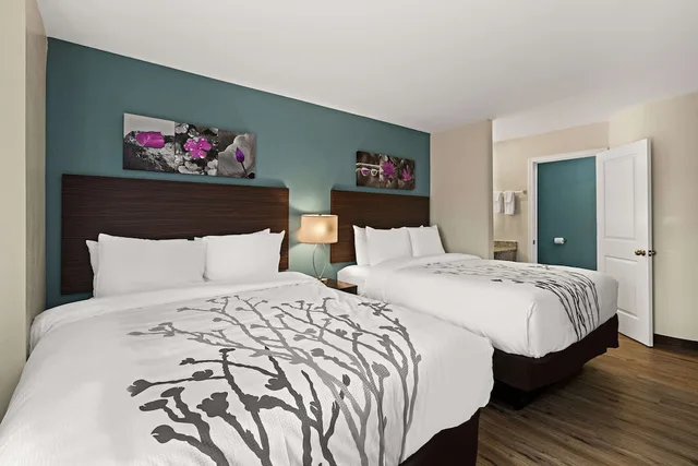 Standard, 2 Queen Beds, Sleep Inn Lithonia Ga 2/3