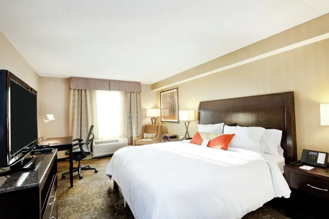 غرفة بسرير كينج لذوي الإعاقة، Hilton Garden Inn Brampton 1/7