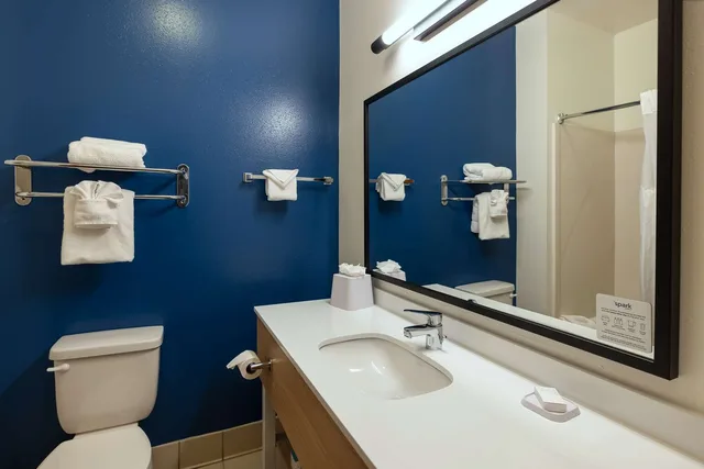 جناح بسرير كينج بغرفة نوم واحدة، Spark by Hilton Savannah Airport 2/2
