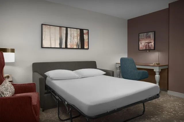 جناح جونيور بسريرين مزدوجين، Hilton Garden Inn Westbury 3/9