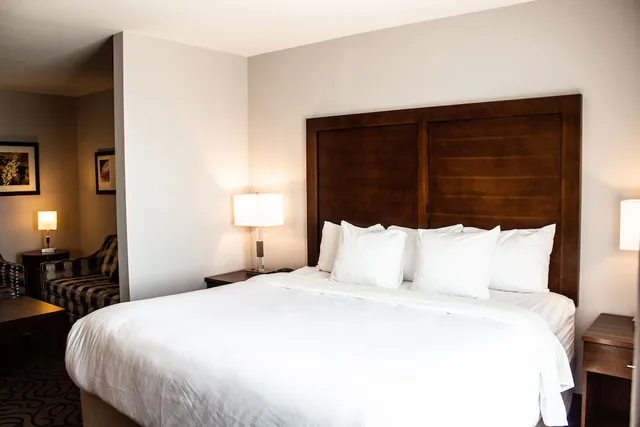 جناح بسرير كينج مع أريكة، Comfort Inn & Suites Lovington, NM 3/6