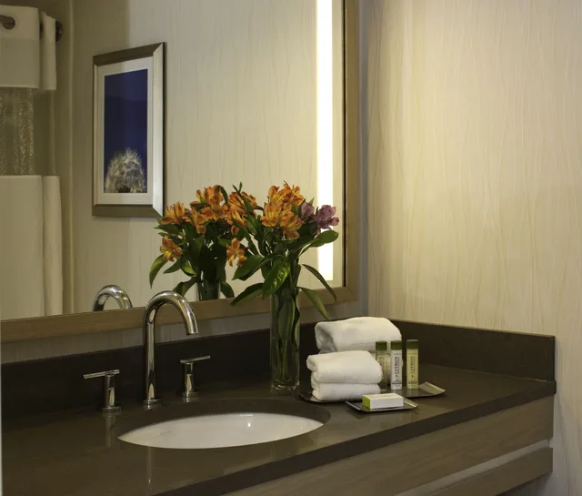 جناح بسريرين مزدوجين لذوي الإعاقة، Doubletree By Hilton Pittsburgh Greentree 8/8