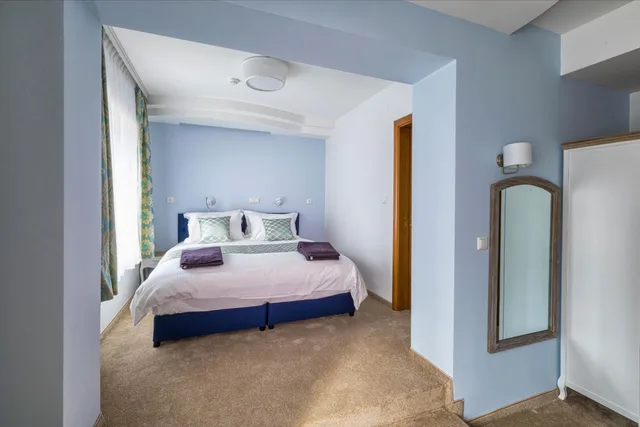 Deluxe, Double Bed, No Balcony، Villa Sintica 1/2