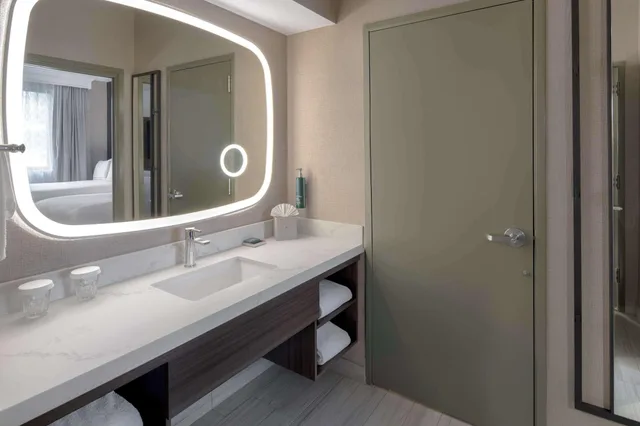 1 Bedroom, Suite, Allergy Friendly، DoubleTree Suites by Hilton Hotel Mt. Laurel 3/3