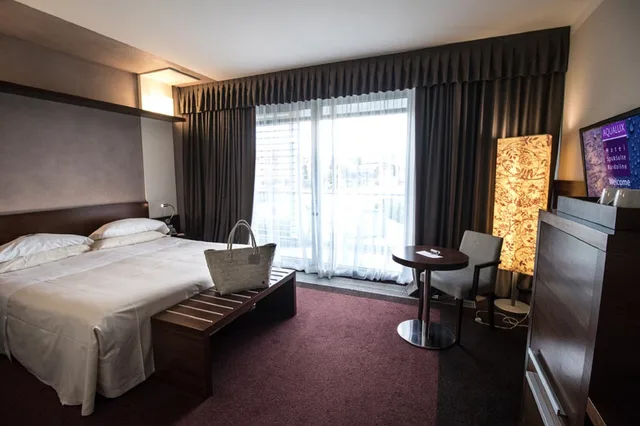 غرفة كومفورت مفردة بسرير مزدوج، Aqualux Hotel Spa Suite & Terme 1/2