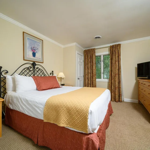 3 Bedrooms, House، Stoweflake Mountain Resort Spa 1/8