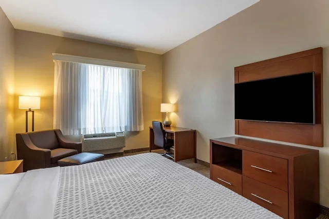 جناح بسرير كينج لذوي الإعاقة، Comfort Suites Houston near Medical Center- NRG Stadium 2/7