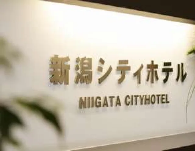 غرفة ديلوكس، Niigata City Hotel 1/1